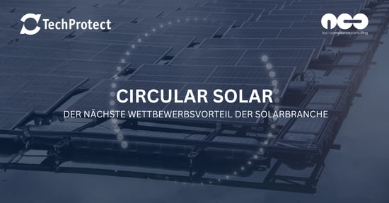 Circular Solar: Wer die Kreislaufwirtschaft gewinnt, gewinnt den Kunden von morgen