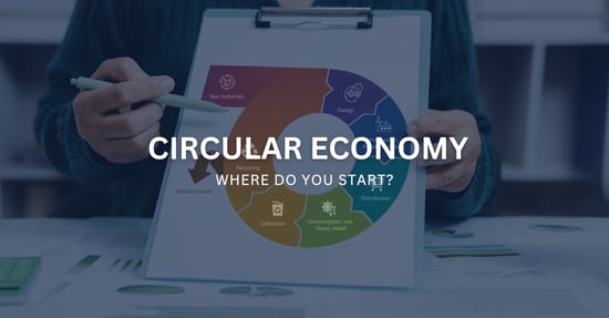 Circular Economy in Business: The Pressure Is On, But Where Do You Start?