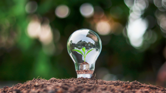 Extended Producer Responsibility (EPR): How Manufacturers Take Responsibility for the Environment