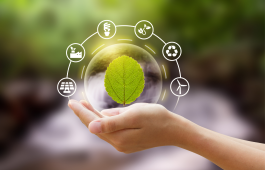 EU Commission adopted Delegated Act on Environmental Taxonomy