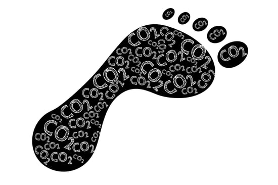 Green prospects for 2022 - the carbon footprint for more sustainability